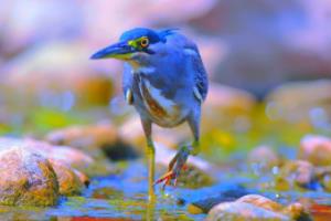 英超联赛视频直播，一场视觉与听觉的盛宴英超联赛视频直播